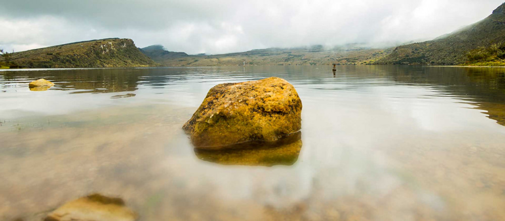 <h2 class="without-text">POR LA PAZ DE LA MADRE TIERRA: Propuestas de Gobernanza y Justicia Ambiental Universal</h2>