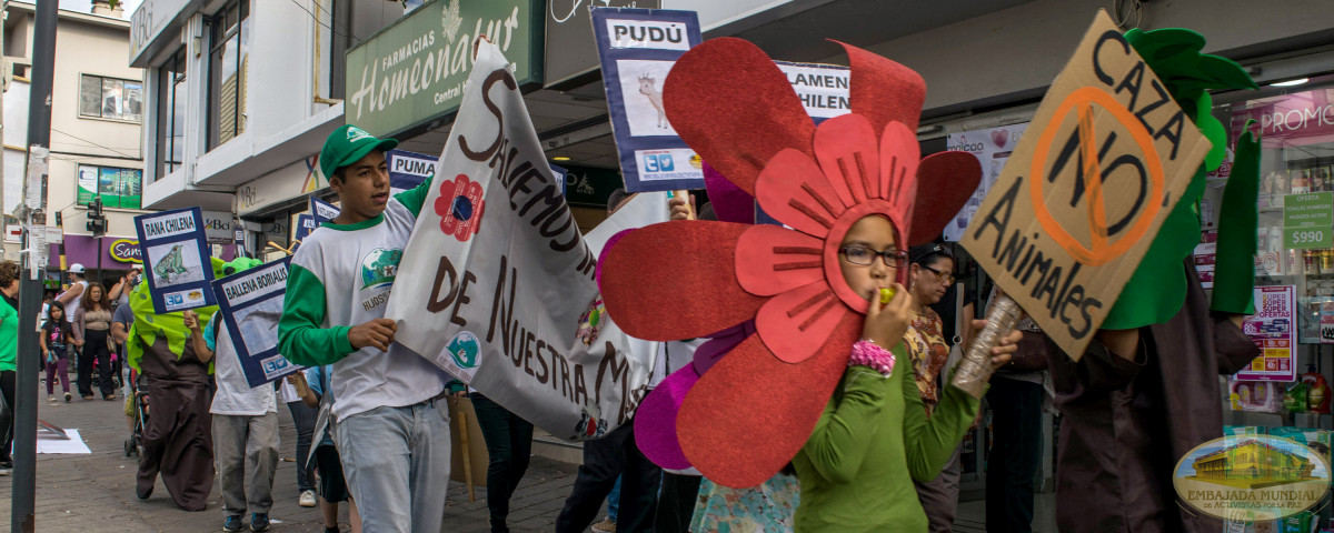 Marcha para conservar 