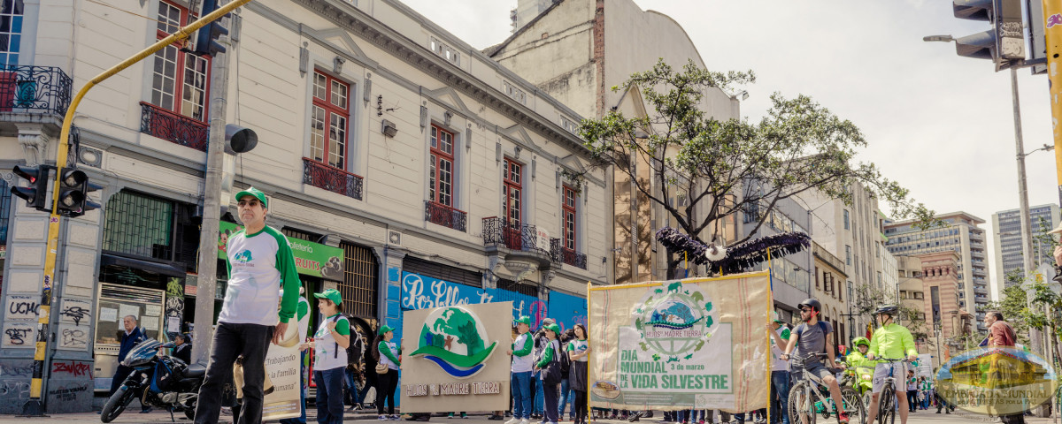 día mundial vida silvestre