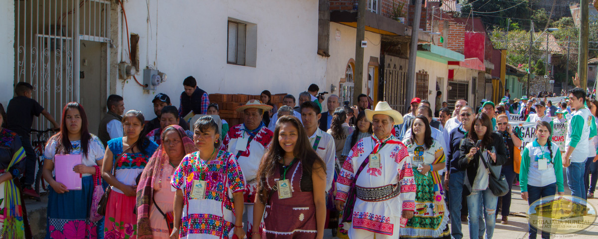 marcha indigenas