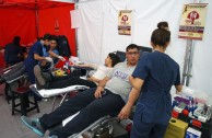 619 units of blood for the health of the population in Chile