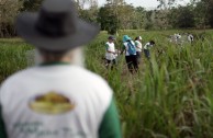 Let us celebrate life with Mother Earth: a day of planting trees in Puerto Rico