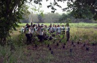 Let us celebrate life with Mother Earth: a day of planting trees in Puerto Rico