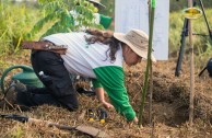 Let us celebrate life with Mother Earth: a day of planting trees in Puerto Rico