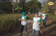 Let us celebrate life with Mother Earth: a day of planting trees in Puerto Rico