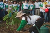 Let us celebrate life with Mother Earth: a day of planting trees in Puerto Rico