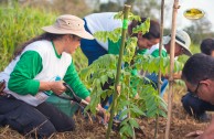 Let us celebrate life with Mother Earth: a day of planting trees in Puerto Rico