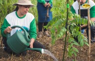 Let us celebrate life with Mother Earth: a day of planting trees in Puerto Rico