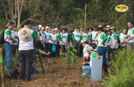 Let us celebrate life with Mother Earth: a day of planting trees in Puerto Rico