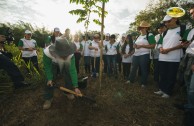 Let us celebrate life with Mother Earth: a day of planting trees in Puerto Rico