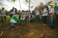 Let us celebrate life with Mother Earth: a day of planting trees in Puerto Rico