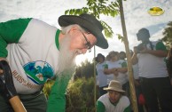 Let us celebrate life with Mother Earth: a day of planting trees in Puerto Rico