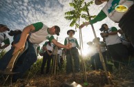 Let us celebrate life with Mother Earth: a day of planting trees in Puerto Rico