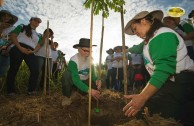 Let us celebrate life with Mother Earth: a day of planting trees in Puerto Rico