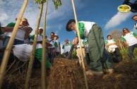 Let us celebrate life with Mother Earth: a day of planting trees in Puerto Rico