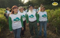 Celebremos la vida con la madre tierra: jornada de arborización en Puerto Rico 