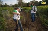 Let us celebrate life with Mother Earth: a day of planting trees in Puerto Rico