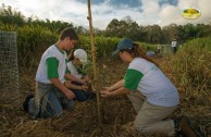 Let us celebrate life with Mother Earth: a day of planting trees in Puerto Rico