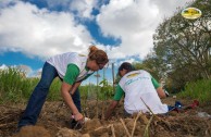 Let us celebrate life with Mother Earth: a day of planting trees in Puerto Rico