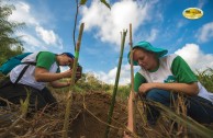 Let us celebrate life with Mother Earth: a day of planting trees in Puerto Rico