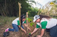 Let us celebrate life with Mother Earth: a day of planting trees in Puerto Rico