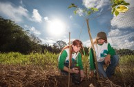 Let us celebrate life with Mother Earth: a day of planting trees in Puerto Rico