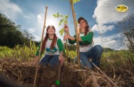 Let us celebrate life with Mother Earth: a day of planting trees in Puerto Rico