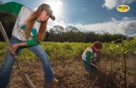 Let us celebrate life with Mother Earth: a day of planting trees in Puerto Rico