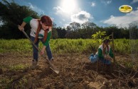 Let us celebrate life with Mother Earth: a day of planting trees in Puerto Rico