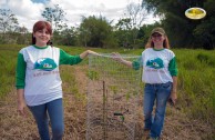 Let us celebrate life with Mother Earth: a day of planting trees in Puerto Rico