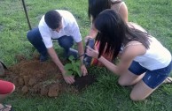 Conmemoracion Dia Internacional del Medio Ambiente en Brasil