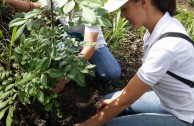 Conmemoracion Dia Internacional del Medio Ambiente en Costa Rica