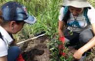 Conmemoracion Dia Internacional del Medio Ambiente en Costa Rica