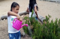 Conmemoracion Dia Internacional del Medio Ambiente en España