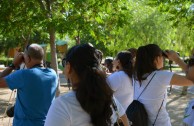 Conmemoracion Dia Internacional del Medio Ambiente en España