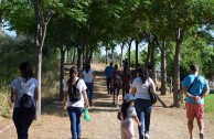 Conmemoracion Dia Internacional del Medio Ambiente en España