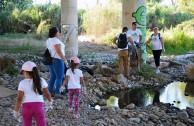 Conmemoracion Dia Internacional del Medio Ambiente en España