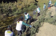 Conmemoracion Dia Internacional del Medio Ambiente en Chile