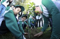 Conmemoracion Dia Internacional del Medio Ambiente en Chile