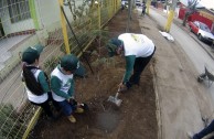 Conmemoracion Dia Internacional del Medio Ambiente en Chile