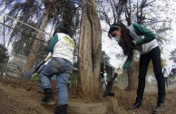 Conmemoracion Dia Internacional del Medio Ambiente en Chile