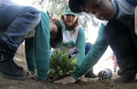 Conmemoracion Dia Internacional del Medio Ambiente en Chile