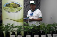 Panama "celebrated life with Mother Earth" in an ecological environment