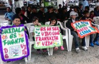 Conmemoracion Dia Internacional del Medio Ambiente en Venezuela