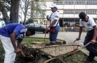 Venezuelans made a valuable contribution to Mother Earth