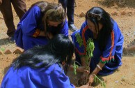 Venezuelans made a valuable contribution to Mother Earth