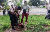 Conmemoracion Dia Internacional del Medio Ambiente en Venezuela