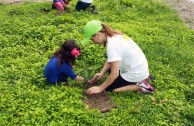 Conmemoracion Dia Internacional del Medio Ambiente en El Salvador