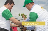 1650 trees were planted in Mexico on June 5th 