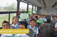 1650 trees were planted in Mexico on June 5th 